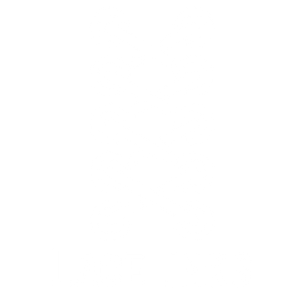 LaceLinks